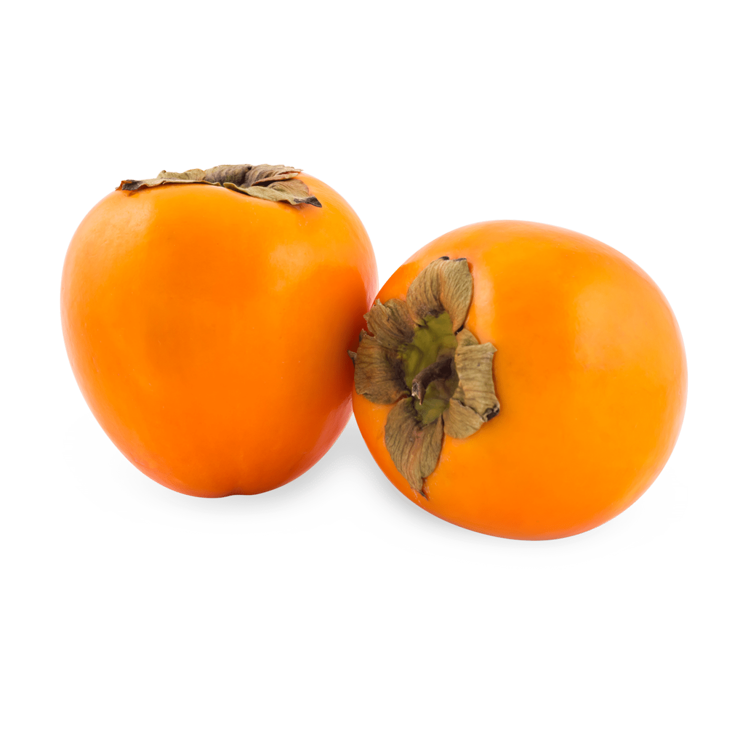 ต้นปาล์มพาราไดซ์ออร์แกนิกสด